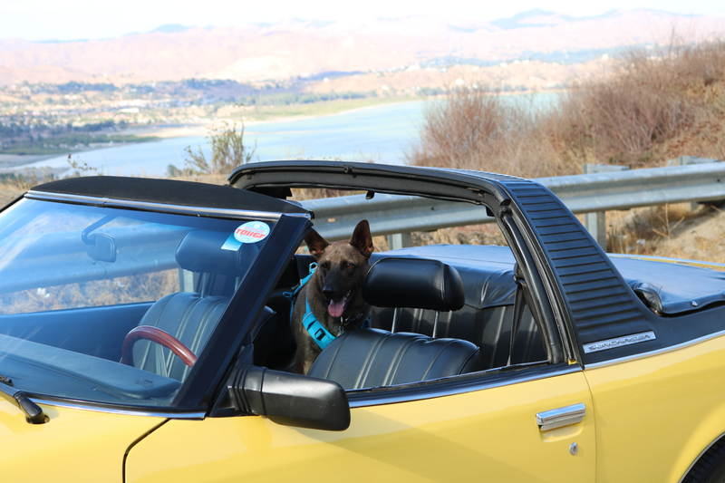 Illustration for article titled We made it! San Diego road trip photodump